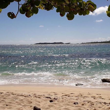 Apartamento Fleur Des Caraibes Sainte-Anne Exterior foto