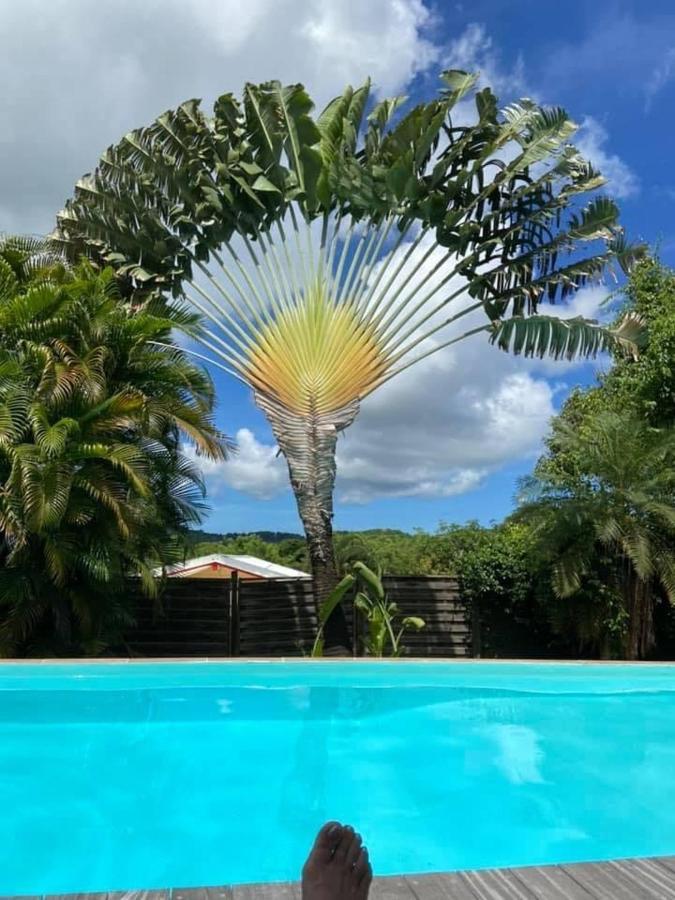 Apartamento Fleur Des Caraibes Sainte-Anne Exterior foto
