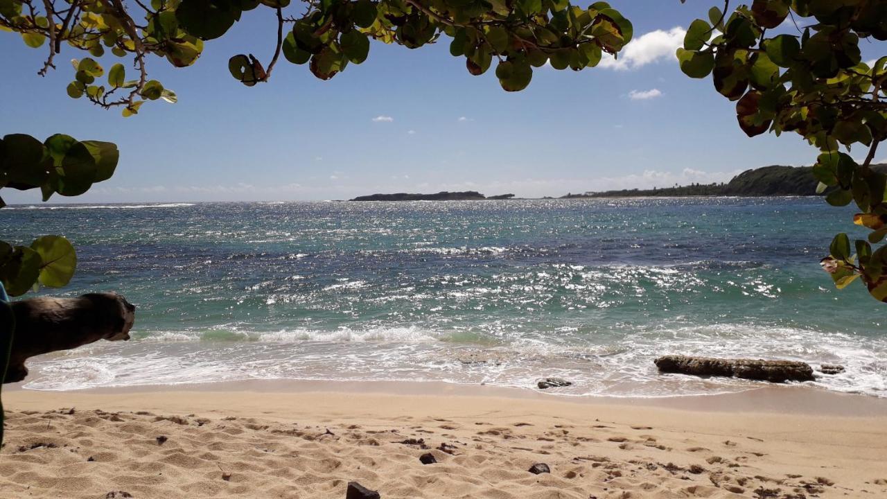 Apartamento Fleur Des Caraibes Sainte-Anne Exterior foto